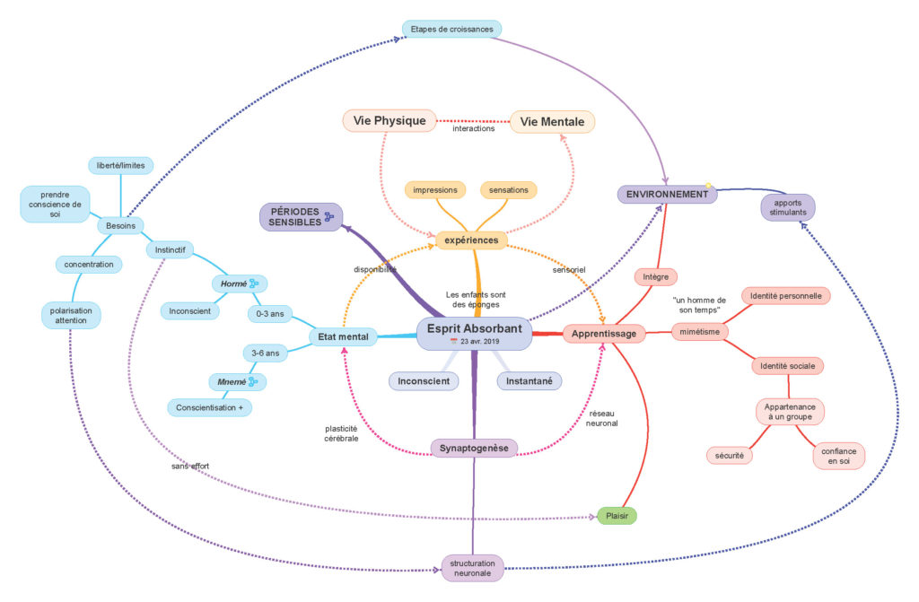 La pédagogie Montessori ? Mind-Map sur le concept d'esprit absorbant