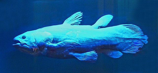 Homo Aprilis Fatuus ? C’est une nouvelle espèce humaine découverte  !