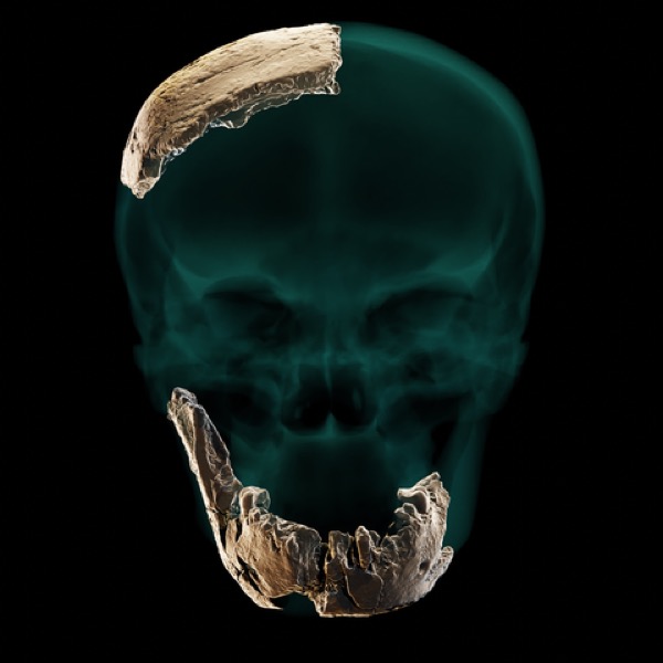Nesher Ramla : un Homo sapiens archaïque ?