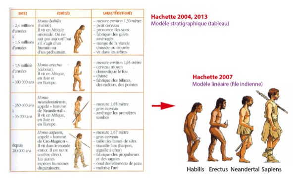 Évolution du traitement de l’évolution humaine chez Hachette