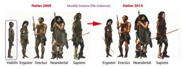 Évolution du traitement de l’évolution humaine chez Hatier 2002-2011
