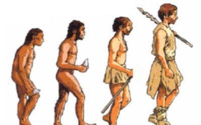 L’évolution humaine dans les manuels scolaires