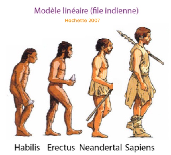 L’évolution humaine dans les manuels scolaires