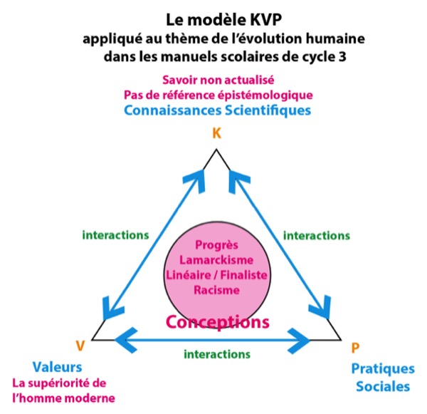 Modèle KVP évolution humaine